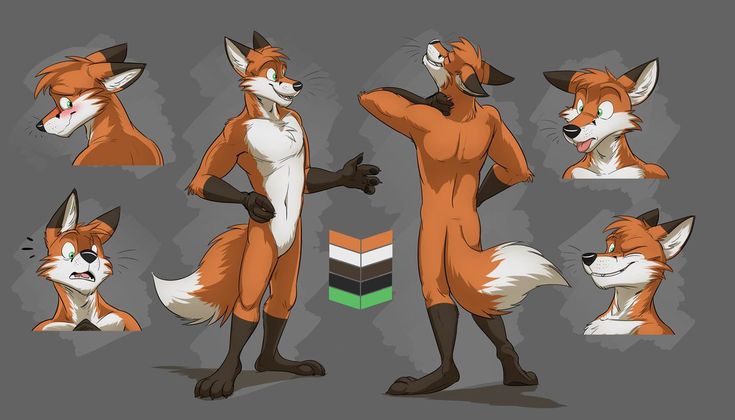 Orange fox character expression sheet